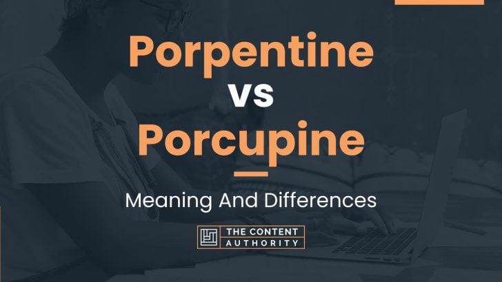 Porpentine vs Porcupine: Meaning And Differences