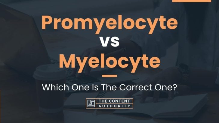 Promyelocyte vs Myelocyte: Which One Is The Correct One?