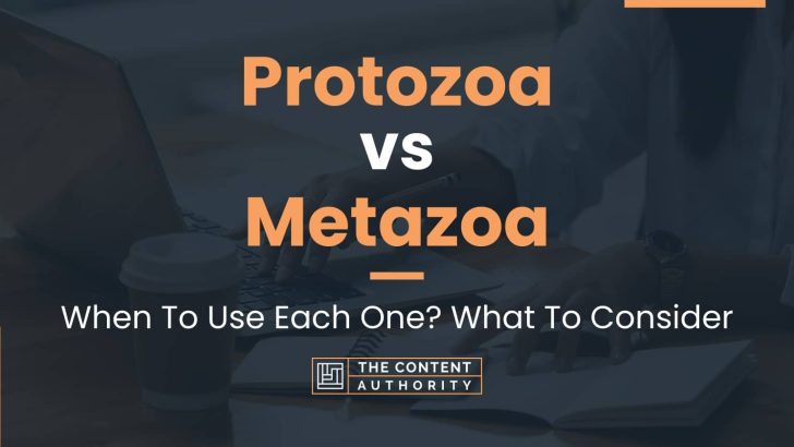 Protozoa vs Metazoa: When To Use Each One? What To Consider