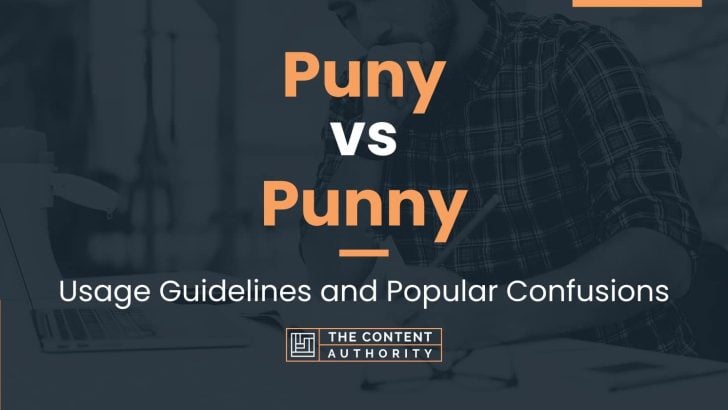 Puny vs Punny: Usage Guidelines and Popular Confusions