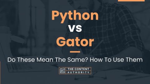 Python vs Gator: Do These Mean The Same? How To Use Them