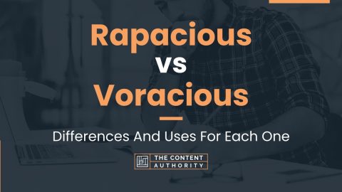 Rapacious vs Voracious: Differences And Uses For Each One