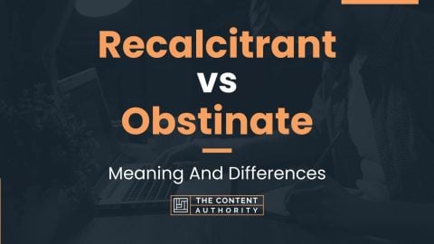 Recalcitrant vs Obstinate: Meaning And Differences