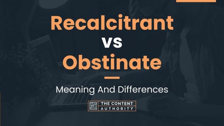 recalcitrant-vs-obstinate-meaning-and-differences