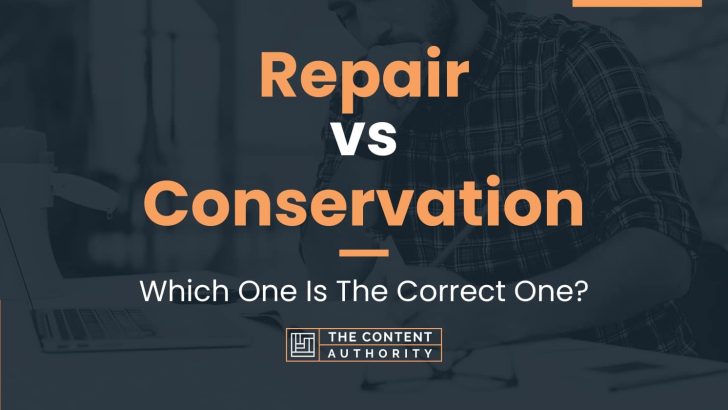 repair vs conservation