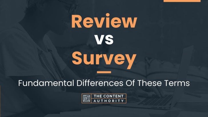 literature review vs survey