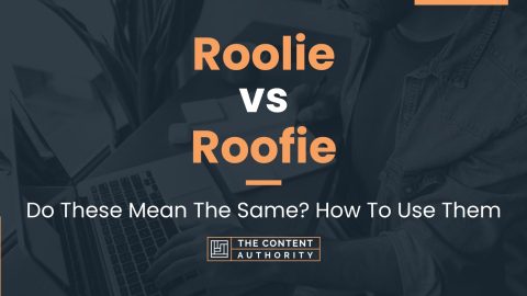 Roolie vs Roofie: Do These Mean The Same? How To Use Them