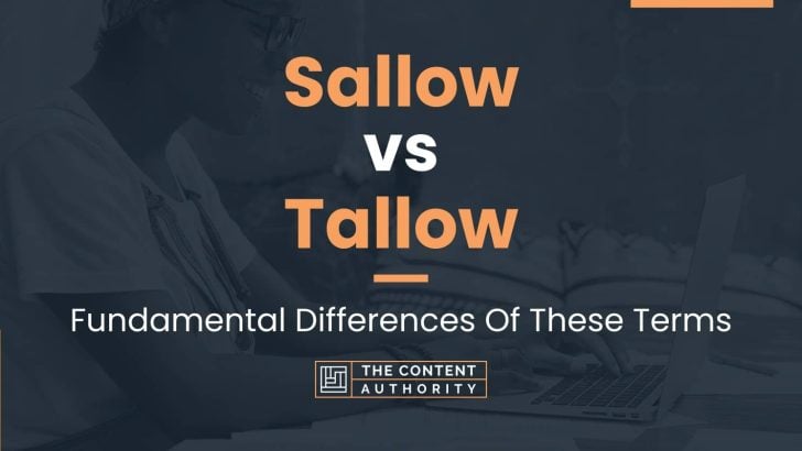 sallow-vs-tallow-fundamental-differences-of-these-terms