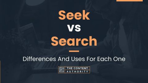 Seek vs Search: Differences And Uses For Each One