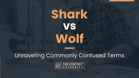 Shark vs Wolf: Unraveling Commonly Confused Terms