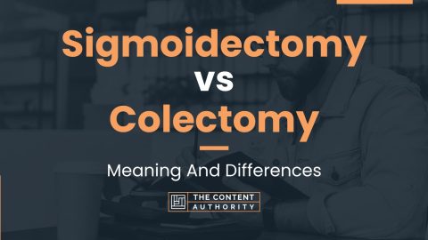 Sigmoidectomy vs Colectomy: Meaning And Differences