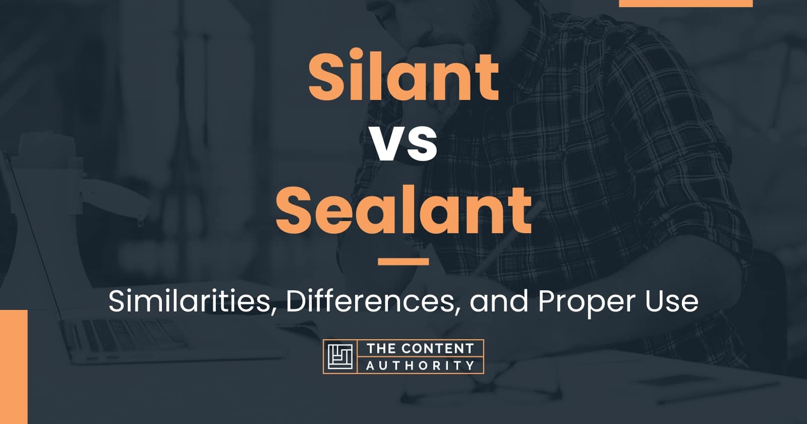 Silant vs Sealant: Similarities, Differences, and Proper Use