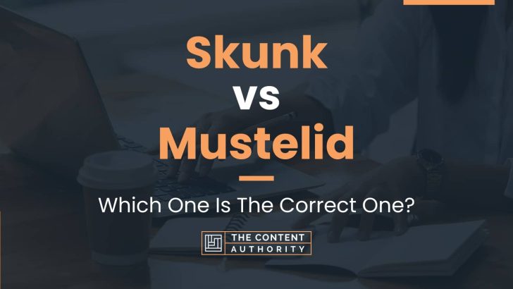 Skunk vs Mustelid: Which One Is The Correct One?