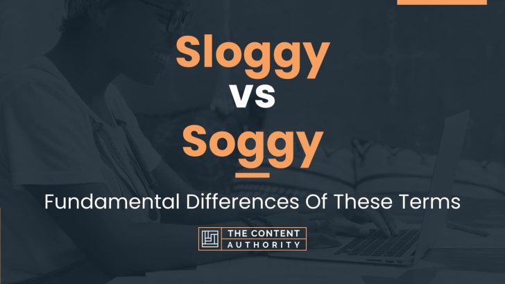 Sloggy vs Soggy: Fundamental Differences Of These Terms