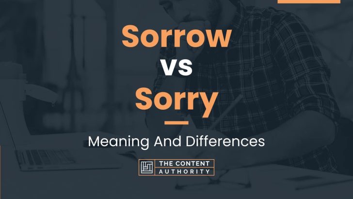 sorrow-vs-sorry-meaning-and-differences