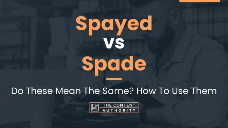 Spayed vs Spade: Do These Mean The Same? How To Use Them