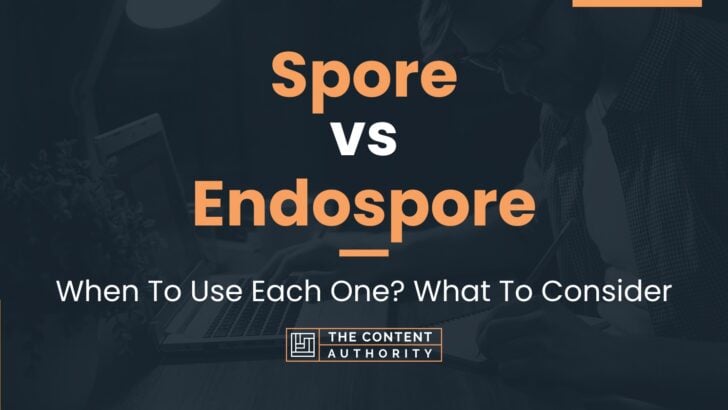 Spore vs Endospore: When To Use Each One? What To Consider