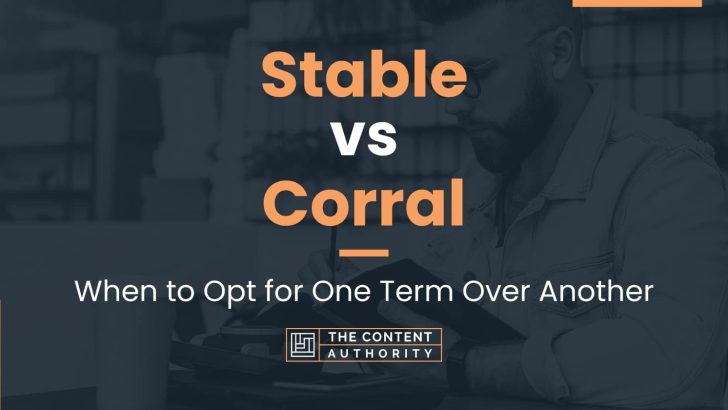 Stable vs Corral: When to Opt for One Term Over Another