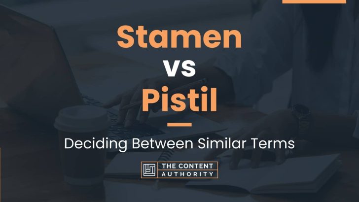 Stamen vs Pistil: Deciding Between Similar Terms