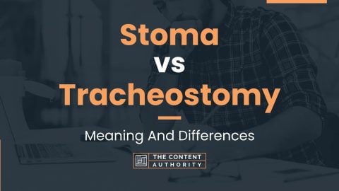 Stoma vs Tracheostomy: Meaning And Differences