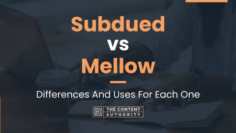 Subdued vs Mellow: Differences And Uses For Each One
