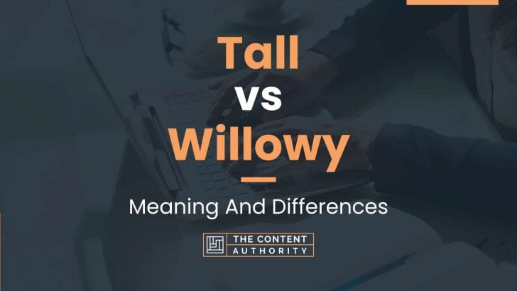 Tall vs Willowy: Meaning And Differences