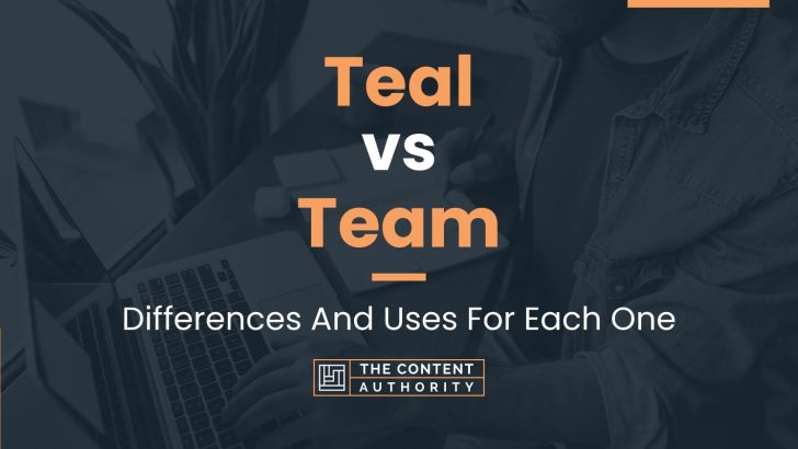 Teal vs Team: Differences And Uses For Each One