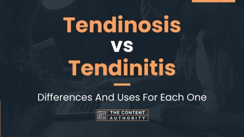 Tendinosis Vs Tendinitis: Differences And Uses For Each One