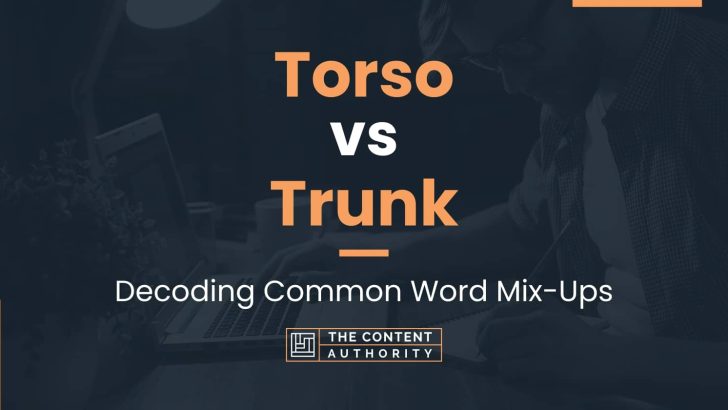 Torso vs Trunk: Decoding Common Word Mix-Ups
