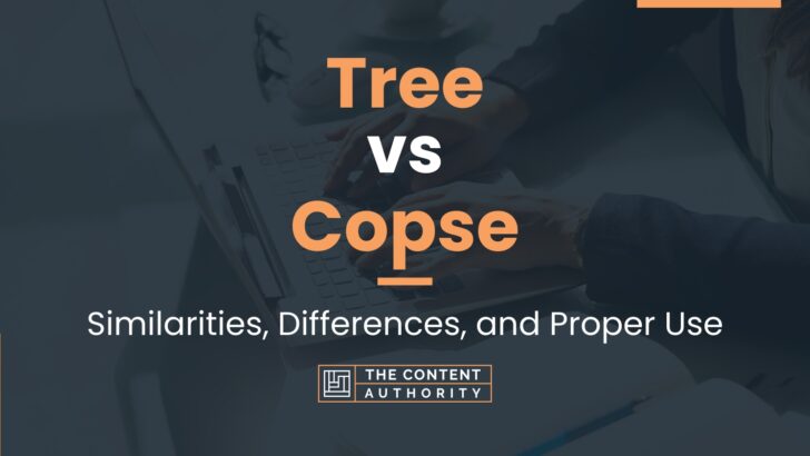 Tree vs Copse: Similarities, Differences, and Proper Use