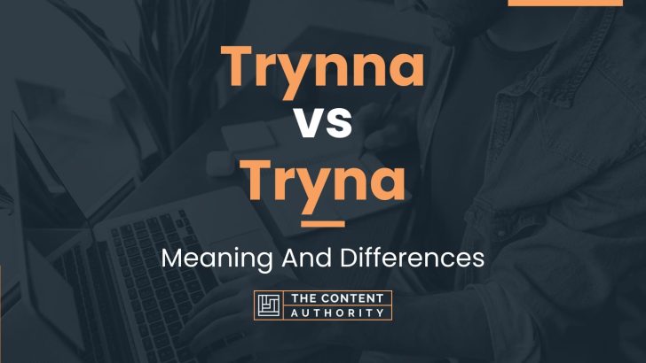 trynna-vs-tryna-meaning-and-differences