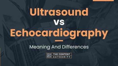 Ultrasound vs Echocardiography: Meaning And Differences