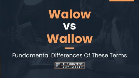 Walow vs Wallow: Fundamental Differences Of These Terms