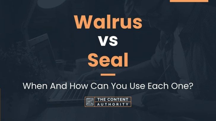 Walrus vs Seal: When And How Can You Use Each One?