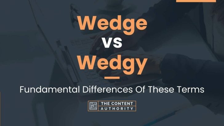Wedge vs Wedgy: Fundamental Differences Of These Terms