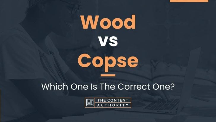 Wood vs Copse: Which One Is The Correct One?