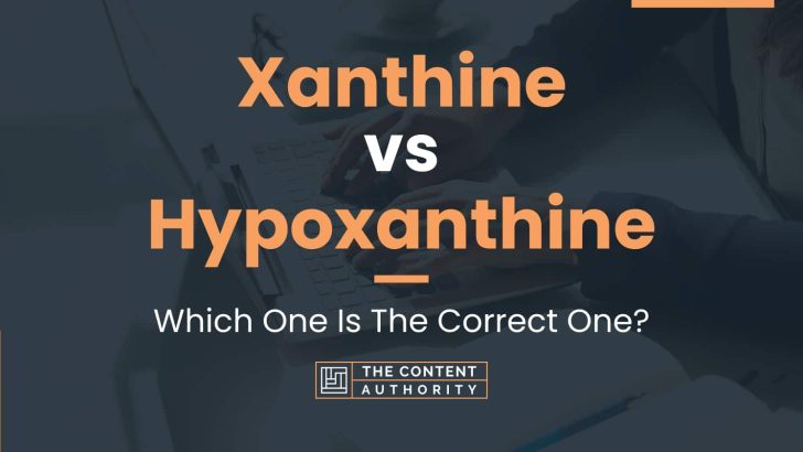 Xanthine vs Hypoxanthine: Which One Is The Correct One?