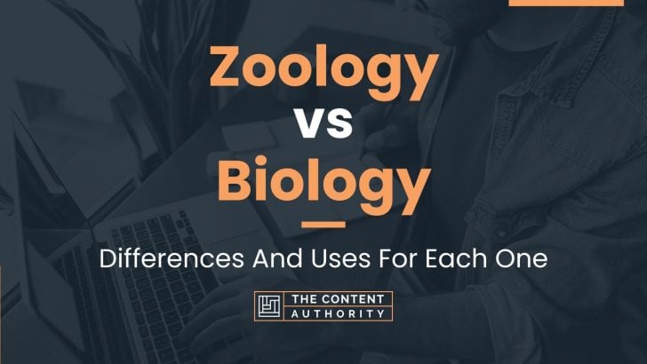 Zoology Vs Biology: Differences And Uses For Each One