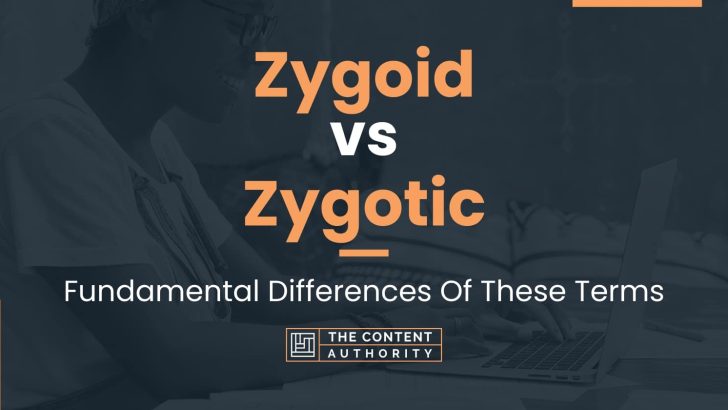 Zygoid vs Zygotic: Fundamental Differences Of These Terms