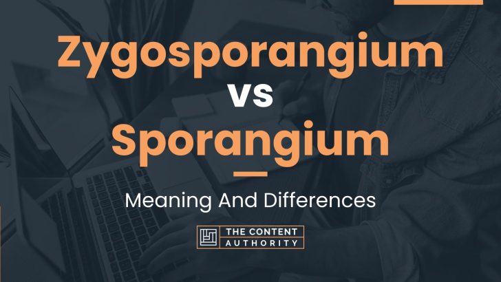 Zygosporangium vs Sporangium: Meaning And Differences