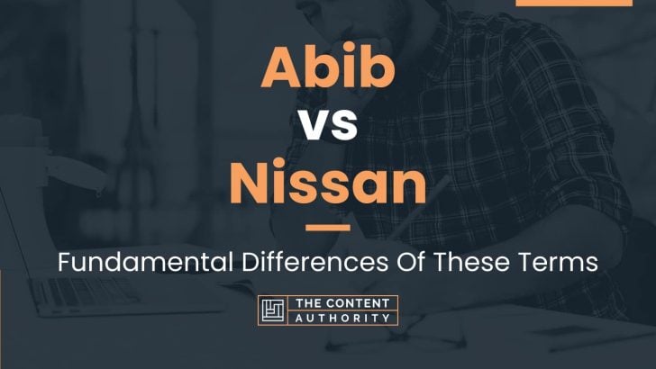 Abib vs Nissan: Fundamental Differences Of These Terms