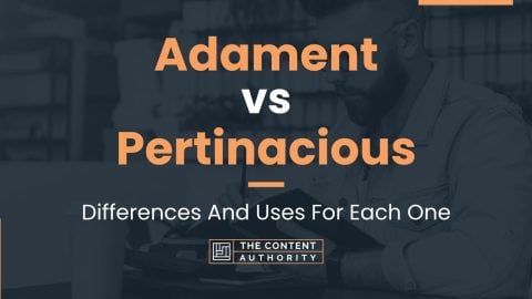 Adament vs Pertinacious: Differences And Uses For Each One