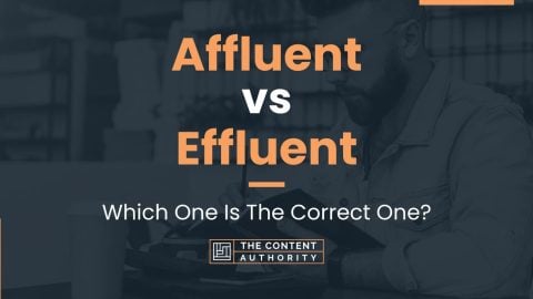 Affluent vs Effluent: Which One Is The Correct One?