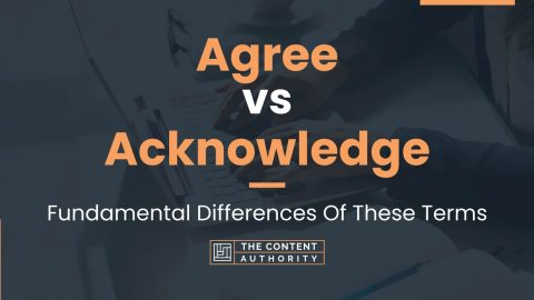 Agree vs Acknowledge: Fundamental Differences Of These Terms