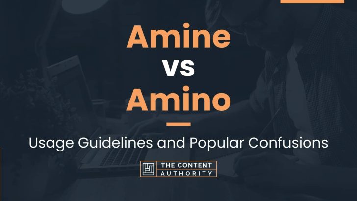 Amine vs Amino: Usage Guidelines and Popular Confusions
