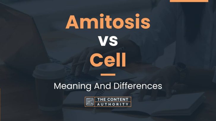 Amitosis vs Cell: Meaning And Differences
