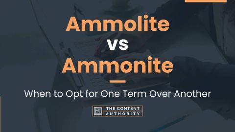 Ammolite vs Ammonite: When to Opt for One Term Over Another
