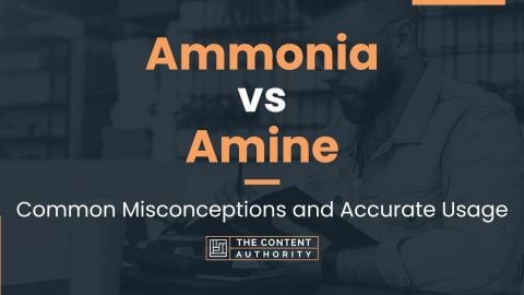 Ammonia vs Amine: Common Misconceptions and Accurate Usage