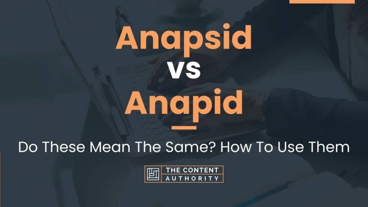 Anapsid vs Anapid: Do These Mean The Same? How To Use Them