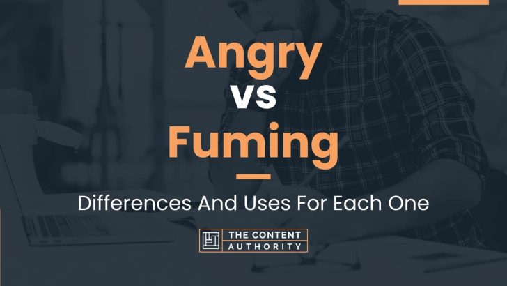 Angry vs Fuming: Differences And Uses For Each One
